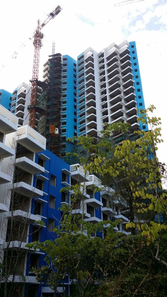 桂林漓江藍(lán)灣外墻涂料裝飾工程(55) - 廣西三象建筑安裝工程有限公司 www.www.gdgm18.cn